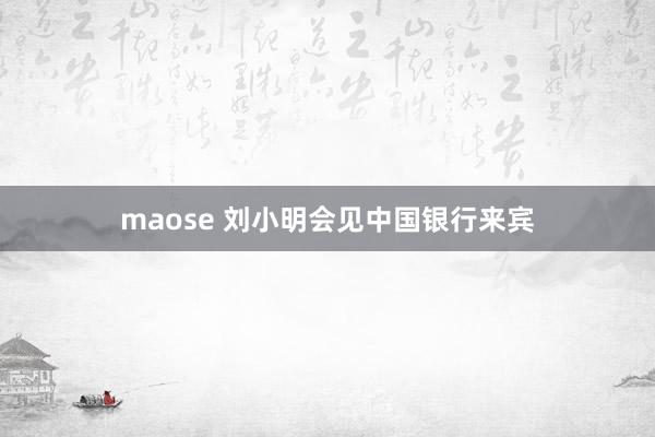 maose 刘小明会见中国银行来宾