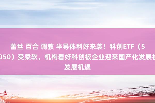 蕾丝 百合 调教 半导体利好来袭！科创ETF（588050）受柔软，机构看好科创板企业迎来国产化发展