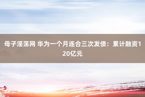 母子淫荡网 华为一个月连合三次发债：累计融资120亿元