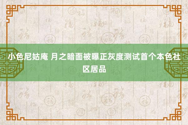 小色尼姑庵 月之暗面被曝正灰度测试首个本色社区居品