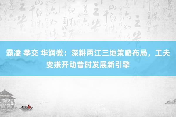 霸凌 拳交 华润微：深耕两江三地策略布局，工夫变嫌开动昔时发展新引擎
