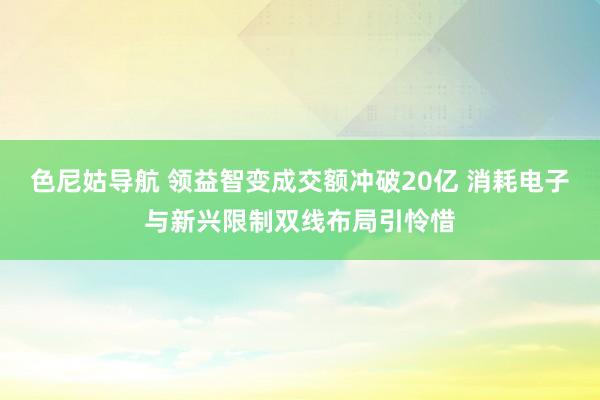 色尼姑导航 领益智变成交额冲破20亿 消耗电子与新兴限制双线布局引怜惜