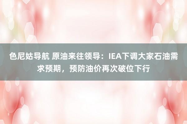 色尼姑导航 原油来往领导：IEA下调大家石油需求预期，预防油价再次破位下行