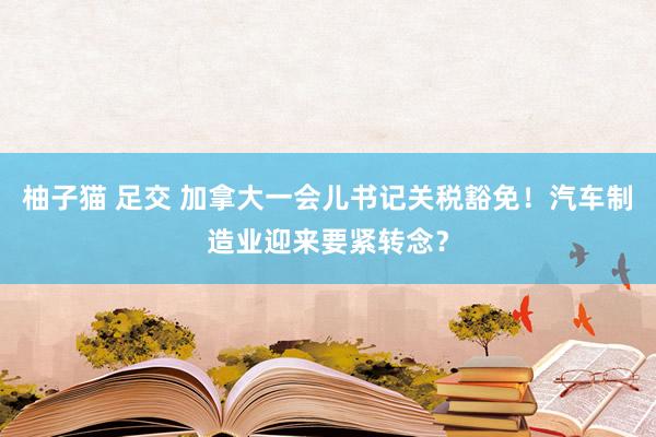 柚子猫 足交 加拿大一会儿书记关税豁免！汽车制造业迎来要紧转念？