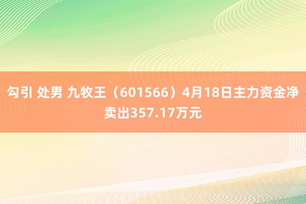 勾引 处男 九牧王（601566）4月18日主力资金净卖出357.17万元