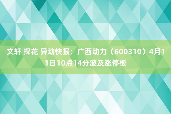 文轩 探花 异动快报：广西动力（600310）4月11日10点14分波及涨停板