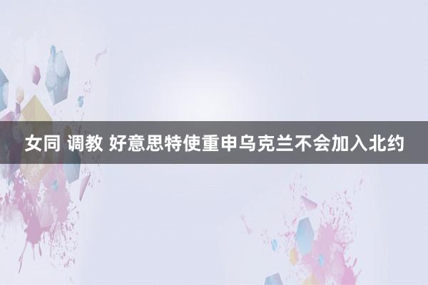女同 调教 好意思特使重申乌克兰不会加入北约