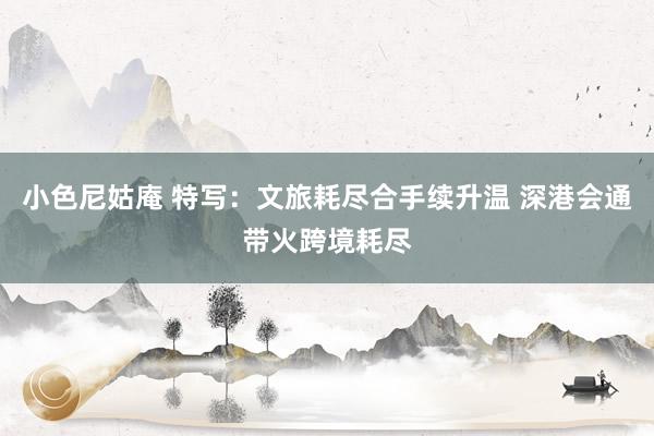 小色尼姑庵 特写：文旅耗尽合手续升温 深港会通带火跨境耗尽