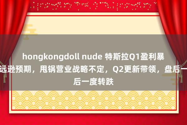 hongkongdoll nude 特斯拉Q1盈利暴减40%远逊预期，甩锅营业战略不定，Q2更新带领，盘后一度转跌