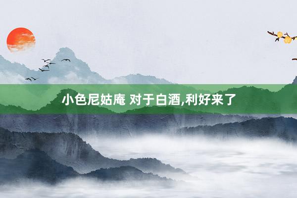 小色尼姑庵 对于白酒，利好来了