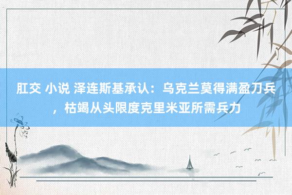 肛交 小说 泽连斯基承认：乌克兰莫得满盈刀兵，枯竭从头限度克里米亚所需兵力