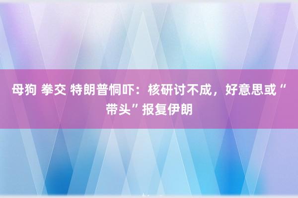 母狗 拳交 特朗普恫吓:核研讨不成,好意思或“带头”报复伊朗