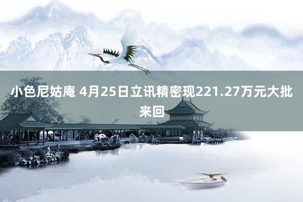 小色尼姑庵 4月25日立讯精密现221.27万元大批来回