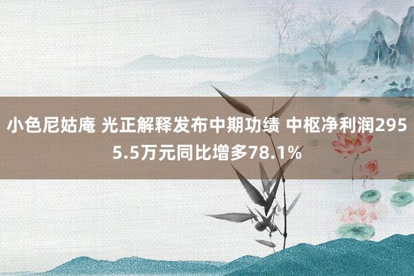 小色尼姑庵 光正解释发布中期功绩 中枢净利润2955.5万元同比增多78.1%